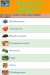 Superfoods To Boost Your Brainpower Naturally screenshot 2/3