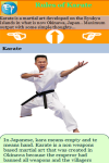 Rules of Karate screenshot 3/3