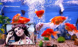 Aquarium Selfie Photo Frames screenshot 6/6