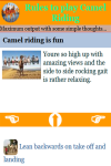 Rules to play Camel Riding screenshot 4/4