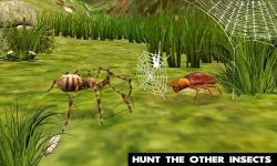 Ultimate Spider Simulator screenshot 1/4