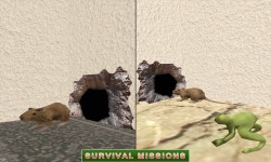 Mouse Survival Simulator screenshot 3/4