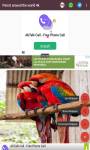 Parrot around the world 4k  screenshot 5/6