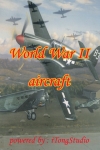 World War II aircraft screenshot 1/1