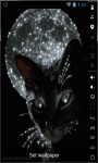 Cat Of The Moon Live Wallpaper screenshot 1/2