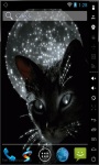 Cat Of The Moon Live Wallpaper screenshot 2/2