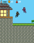 Ninja Fighter screenshot 1/1
