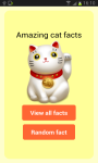 Amazing Cat Facts screenshot 1/4