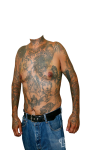 Body Tattoo Photo Suit screenshot 4/4