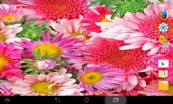 Amazing Flowers screenshot 1/6