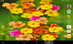 Amazing Flowers screenshot 2/6