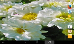 Amazing Flowers screenshot 3/6