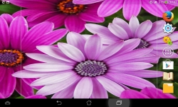 Amazing Flowers screenshot 6/6