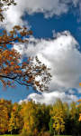 Beautiful clouds over Autumn Fields Wallpaper HD screenshot 2/3