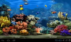 Koi Aquarium Live Wallpaper screenshot 4/4