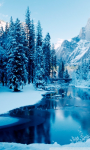 Winter Landscapes Wallpapers screenshot 1/6