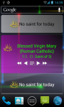 Catholic Saints Calendar Widgets screenshot 2/6
