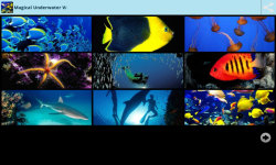 Magical Underwater Wallpapers screenshot 1/6