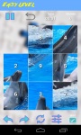 Dolphins Jigsaw Puzzle HD screenshot 4/4