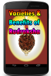 Varieties and Benefits of Rudraksha screenshot 1/3