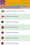 Varieties and Benefits of Rudraksha screenshot 2/3