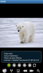 Zoo : Arctic Wild Animals screenshot 1/6