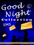 Good Night SMS Collection screenshot 1/3