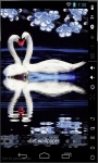 Swan Love Live Wallpaper screenshot 1/2