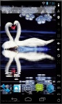 Swan Love Live Wallpaper screenshot 2/2