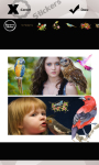 Birds Photo Collage screenshot 6/6