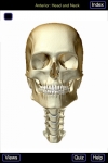 Skeletal System (Head and Neck) screenshot 1/1