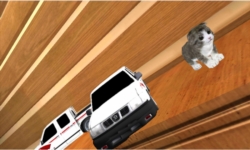 Kitten Cat Simulator 3D Craft screenshot 3/4