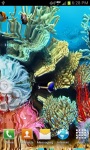 Coral reef live wallpaper free screenshot 3/4