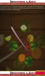 Ninja Fruit Slice – Free screenshot 5/5