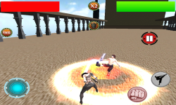 Kungfu Warriors 3D Free screenshot 5/5