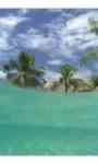 Waves Beach Bungalows HD LWP screenshot 2/3