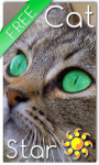 Cat Star Live Wallpaper screenshot 1/2