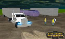 City Truck Duty Driver 3D screenshot 5/5