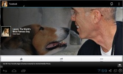 Lassie TV Show screenshot 3/3