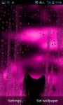Kitten in Window Live Wallpaper screenshot 1/3