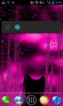 Kitten in Window Live Wallpaper screenshot 2/3