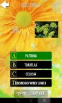 Ultimate Flower Quiz screenshot 2/6
