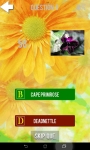 Ultimate Flower Quiz screenshot 3/6