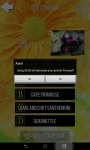 Ultimate Flower Quiz screenshot 4/6