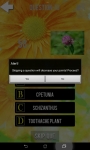 Ultimate Flower Quiz screenshot 5/6