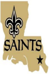 Saints Fans screenshot 1/3
