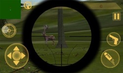 Hunting season: Jungle sniper screenshot 4/6