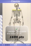 Speed Bones Lite (Quiz) screenshot 1/1