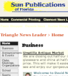 Triangle News Leader - BB screenshot 1/1