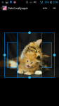 HD Wallpaper Cat screenshot 3/4